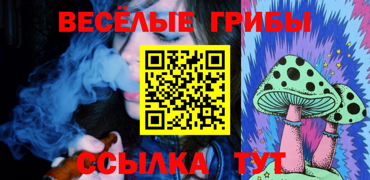 Псилоцибиновые грибы прущие грибы Унеча